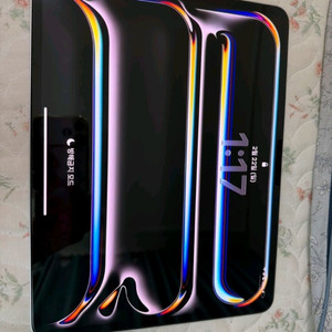 아이패드 프로13 m5 512gb wifi