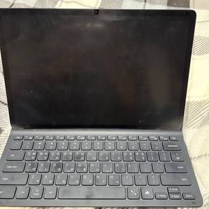 갤럭시탭s9+ 256g wifi