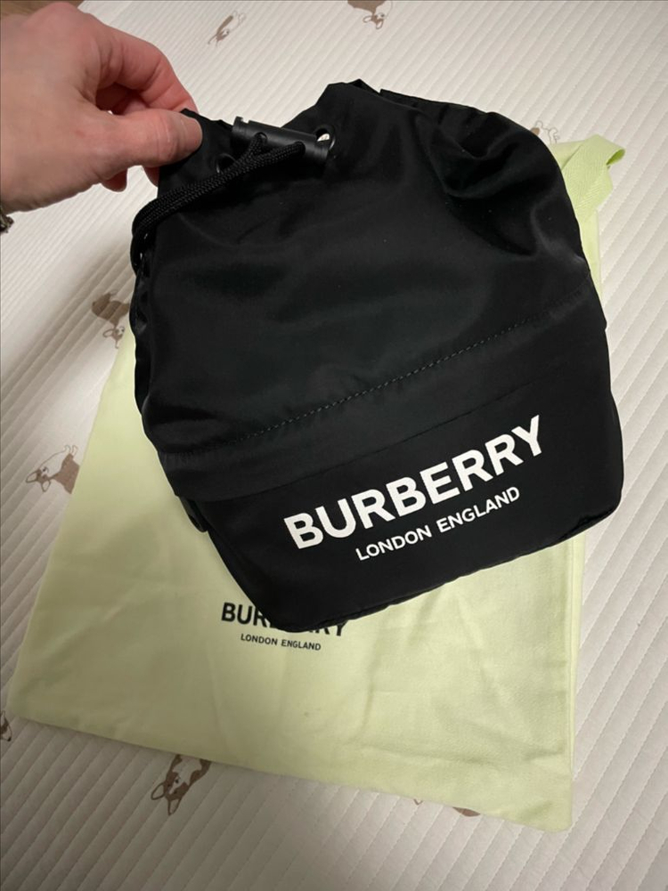 버버리 포이베--3