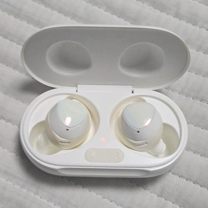 갤럭시 버즈 플러스 버즈+