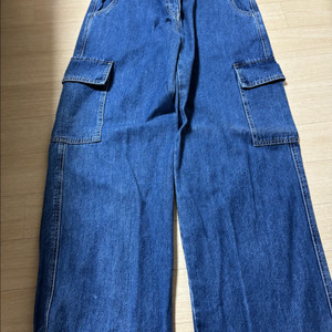 플락진 카고팬츠27