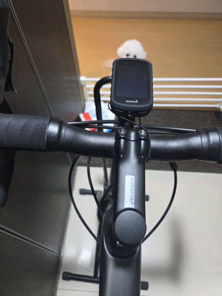 2020 스페셜라이즈드 타막 콤프 52 가격내림--7