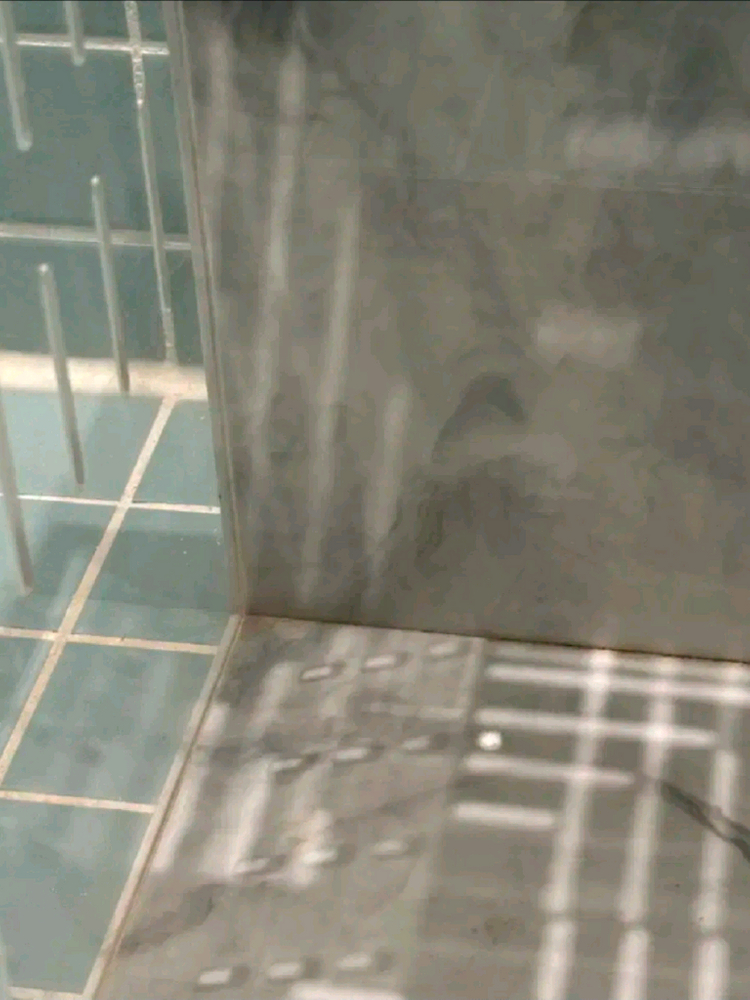 엑조틱렙타일 202030아크릴사육장--1