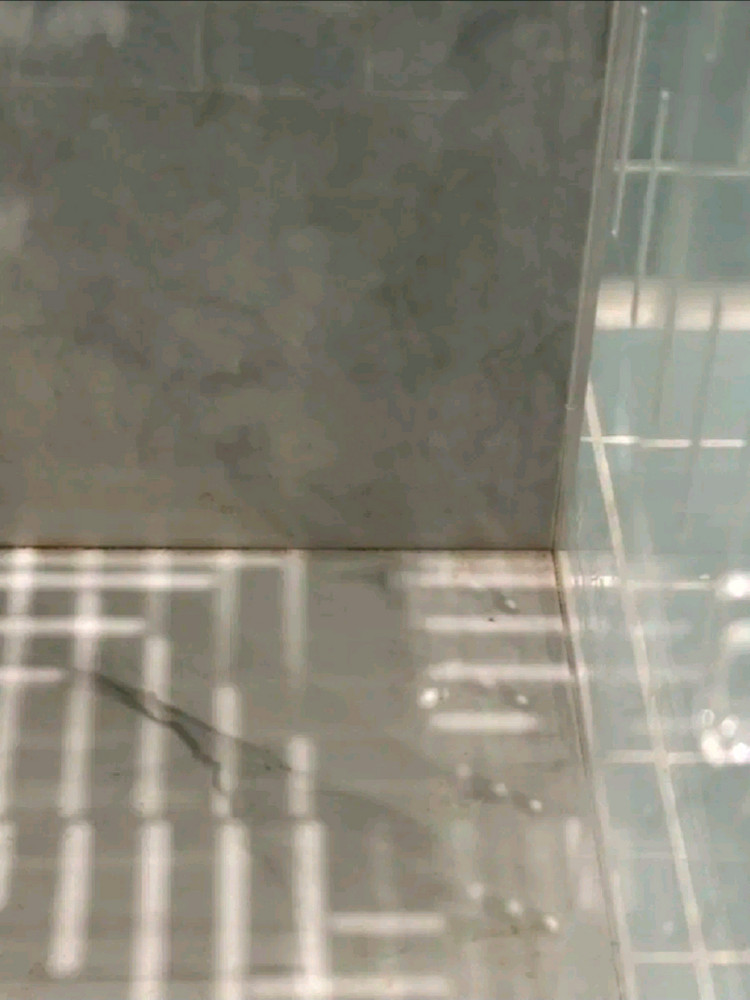 엑조틱렙타일 202030아크릴사육장--2