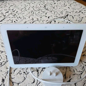 구글네스트허브