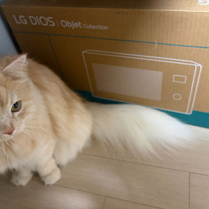 미개봉 LG 디오스 오브제 컬렉션 전자레인지 mwj25e 미개봉