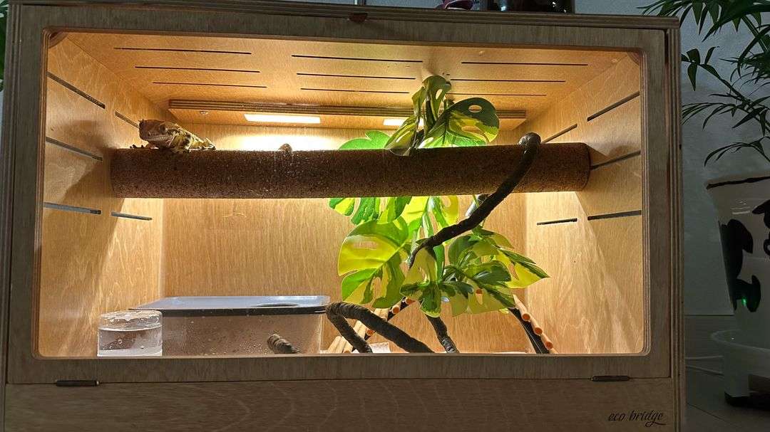 에코브릿지 파충류 사육장 가로형(45*30*30)--1