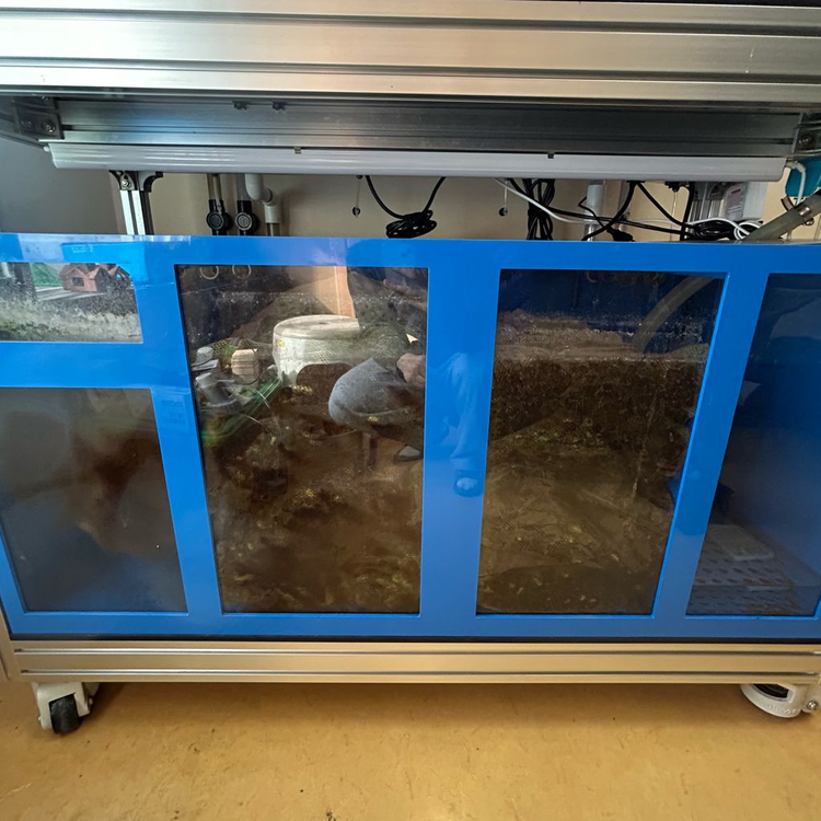 통합 섬프 어항 수조 분양합니다--2