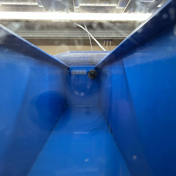 통합 섬프 어항 수조 분양합니다--3