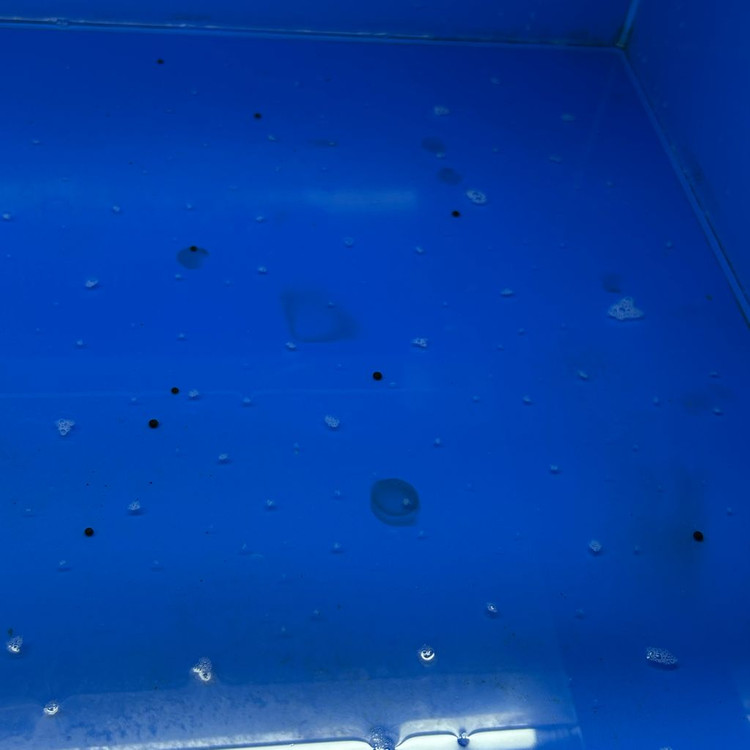 통합 섬프 어항 수조 분양합니다--4