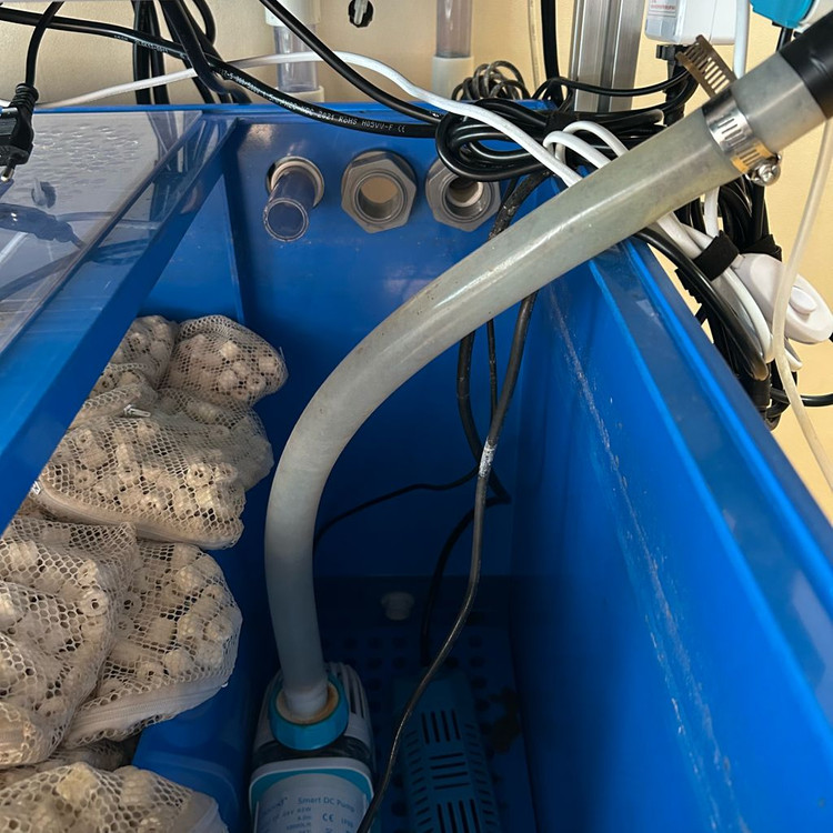 통합 섬프 어항 수조 분양합니다--5