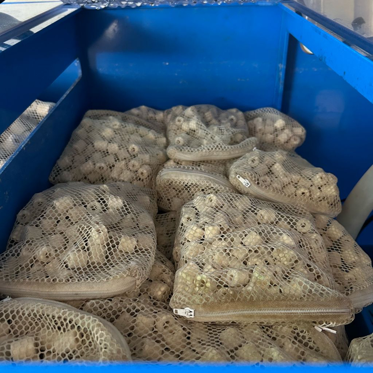 통합 섬프 어항 수조 분양합니다--7