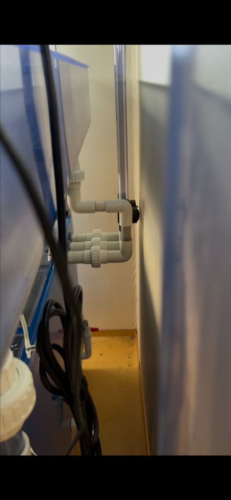 통합 섬프 어항 수조 분양합니다--8