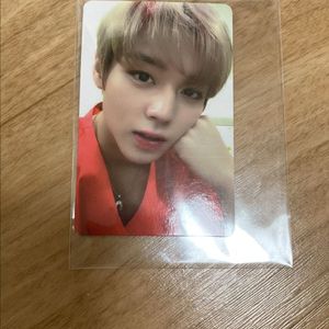 박지훈 포토카드 양도 이미지