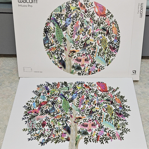 와콤 인튜어스 프로 PTH-660 중형 펜타블렛 중고상품