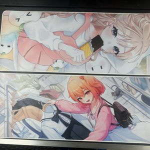 임나은 윤이샘 장패드