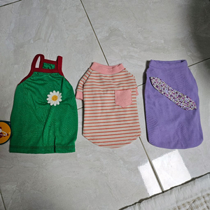 강아지 애견 옷 S 사이즈 새상품 3벌 일괄 팝니다.