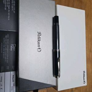 펠리칸 만년필 m405 슈트레제만 그레이 투명창 (미사용 새것)