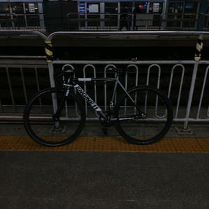 픽시 엔진 크릿디 네온차콜(커버업) !!!!급처!!!! 판/대 이미지