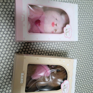 데이식스 쁘띠멀즈 플러시 보이스 필 방