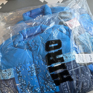 히로 페이즐리 리버서블 다운 베스트 150