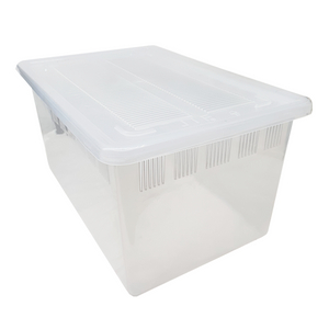 JIF 투명 사육장 케이지 대 도마뱀 게코 이미지