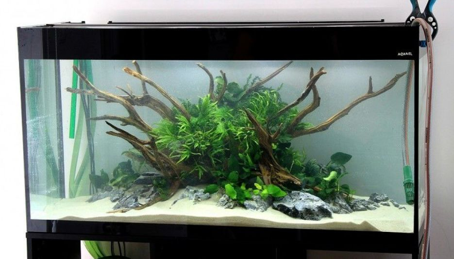 어세팅, 어항레이아웃,어항주문제작,풀세트(출 장세팅)--5