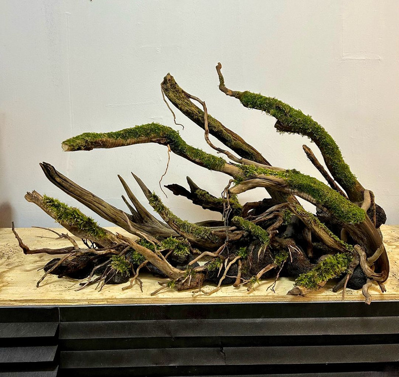 어세팅, 어항레이아웃,어항주문제작,풀세트(출 장세팅)--9