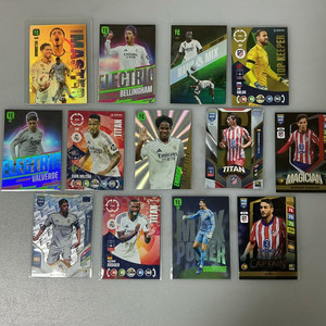 파니니 5대리그 및 월드컵 레어카드 다량판매