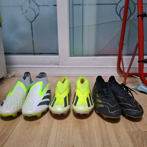 아디다스 x 크레이지패스트 엘리트 ll/ 프레데터 엘리트 24 벨링엄 시그니처/ 프레데터 애큐러시 엘리트 ll