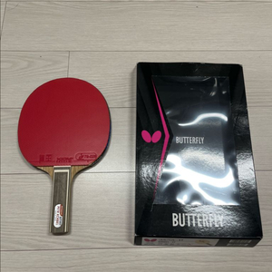 (땡처리)버플 코르벨+엑시옴 베가2러버