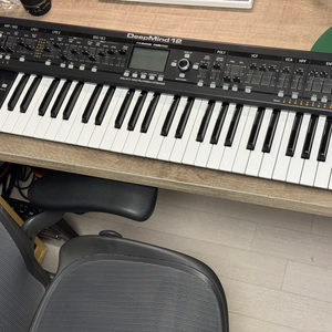 Behringer Deepmind 12 판매합니다. (베링거 딥마인드 12)