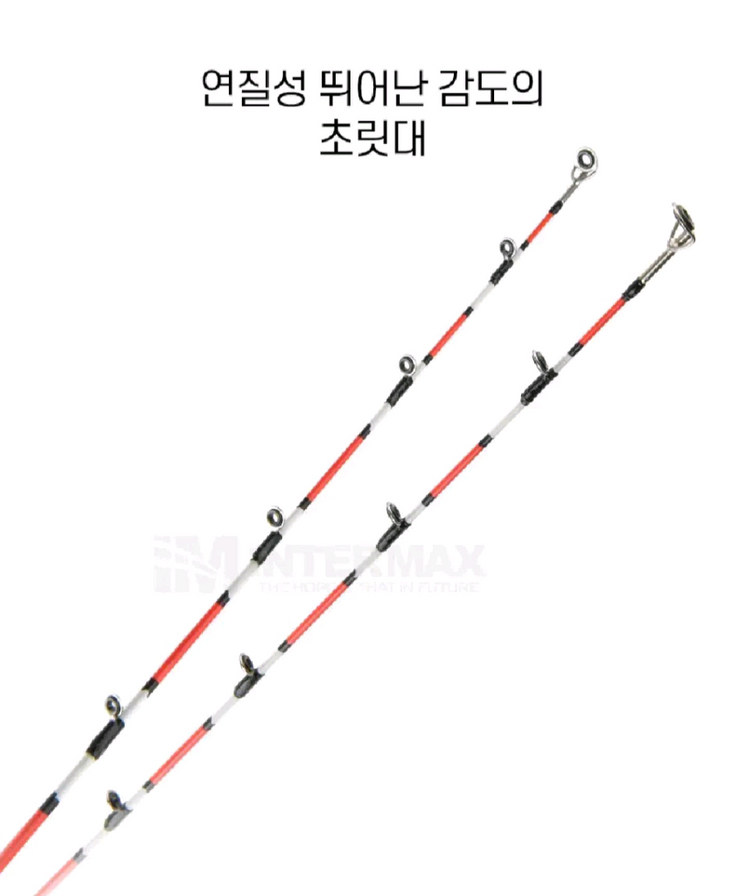 갈치선상낚시대 210, 텐빈로드 쭈꾸미,갑오징어--5