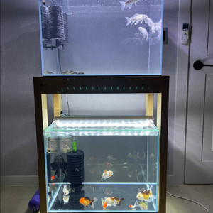 (경기 북부) 프리미엄 켈란 2자 광폭 올디아망 수조 6T 조명 세트 상태 S급 어항 판매 (개별 가능) 이미지