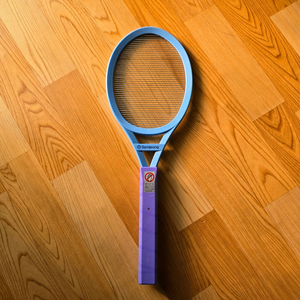 건전지 전기파리채