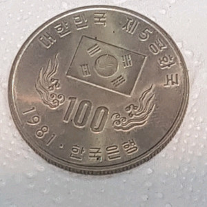 81년도 100원 동전 이미지