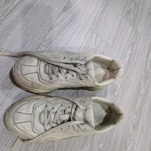 구찌 라이톤 더티 8사이즈