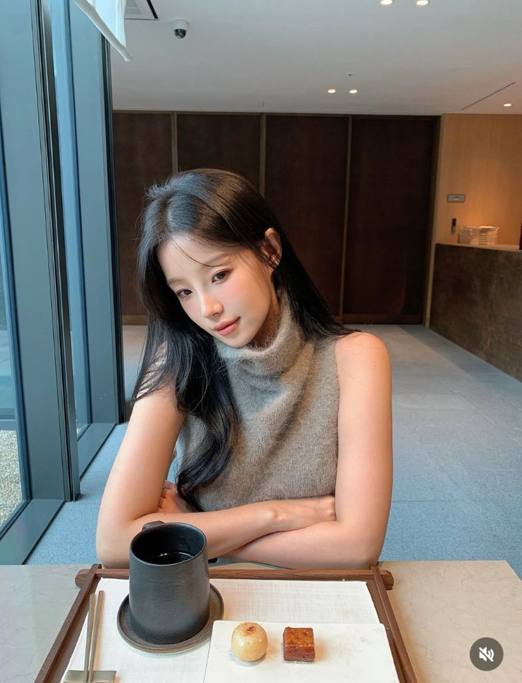 토우즈 앙고라니트 양도합니다 이미지