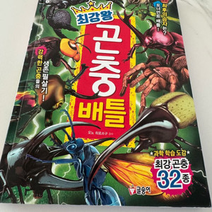 최강왕 곤충배틀