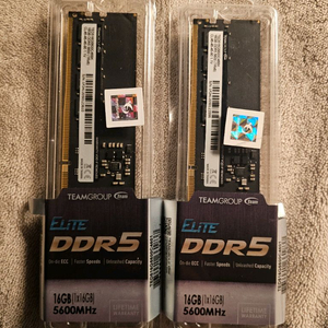 팀그룹 ddr5 5600 32gb(16x2)