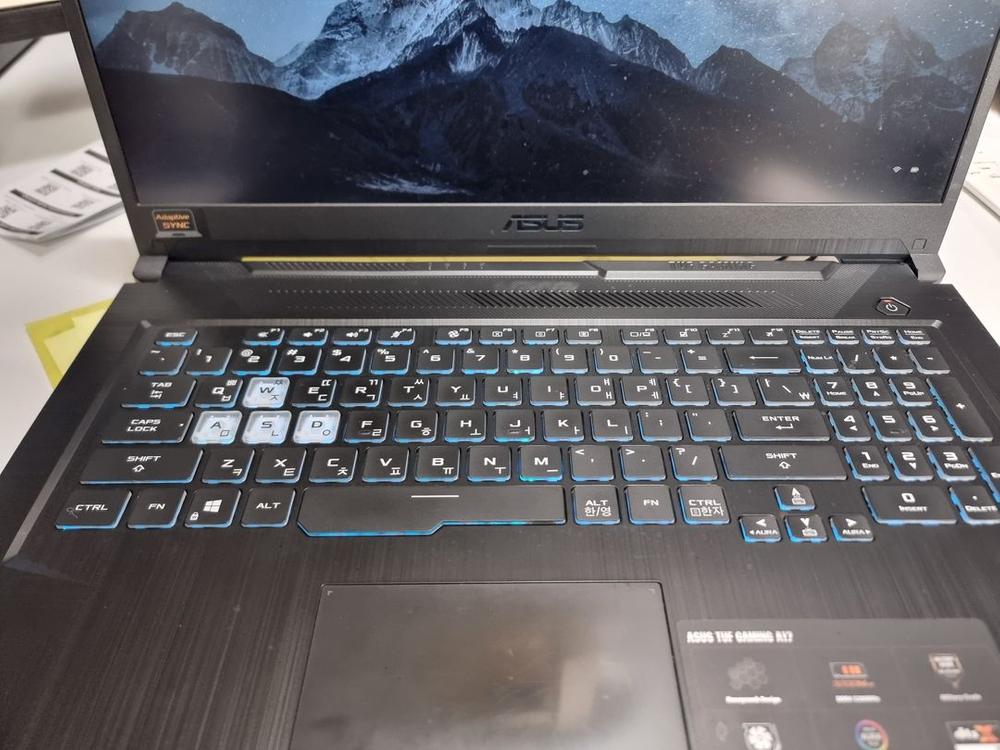 ASUS TUF Gaming A17 RAM 32 M.2 250GB 팝니다.--1