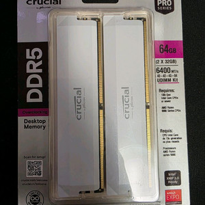 Crucial Pro DDR5 RAM 64GB 키트 (2x32GB) 6400MHz CL40 화이트
