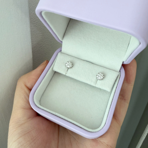 골든듀 피오레스텔라 귀걸이 화이트골드