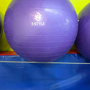 짐볼 8개 일괄 5만 수원