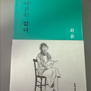 하나코는 없다 책 최윤