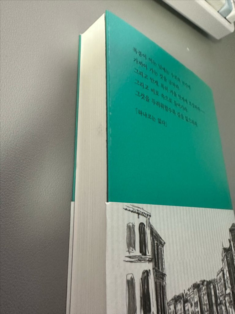 하나코는 없다 책 최윤--3