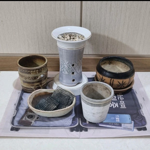 식물 도자기 화분 5개 모음 일괄