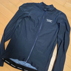 파노말 매카니즘 저지