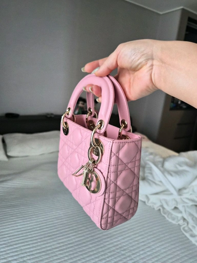 디올 레이디백 이미지