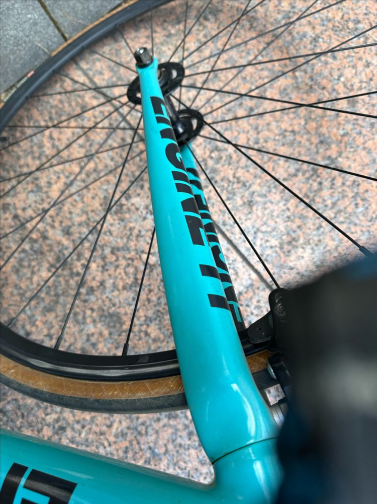 급처 엔진11 볼텍스 픽시 자전거--5